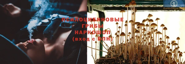 ГАЛЛЮЦИНОГЕННЫЕ ГРИБЫ Одинцово