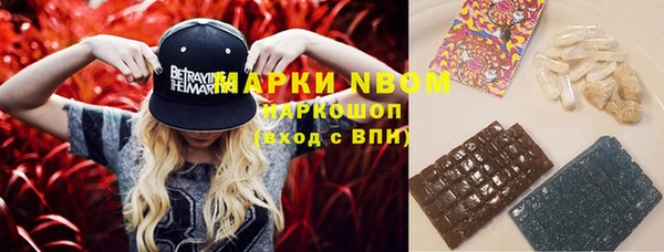 apvp Магас