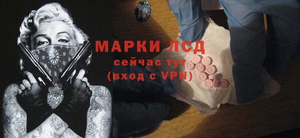 apvp Магас