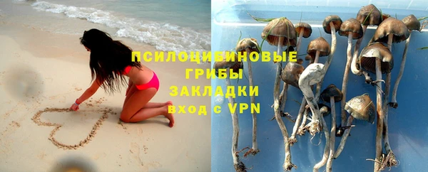прущая мука Новоульяновск