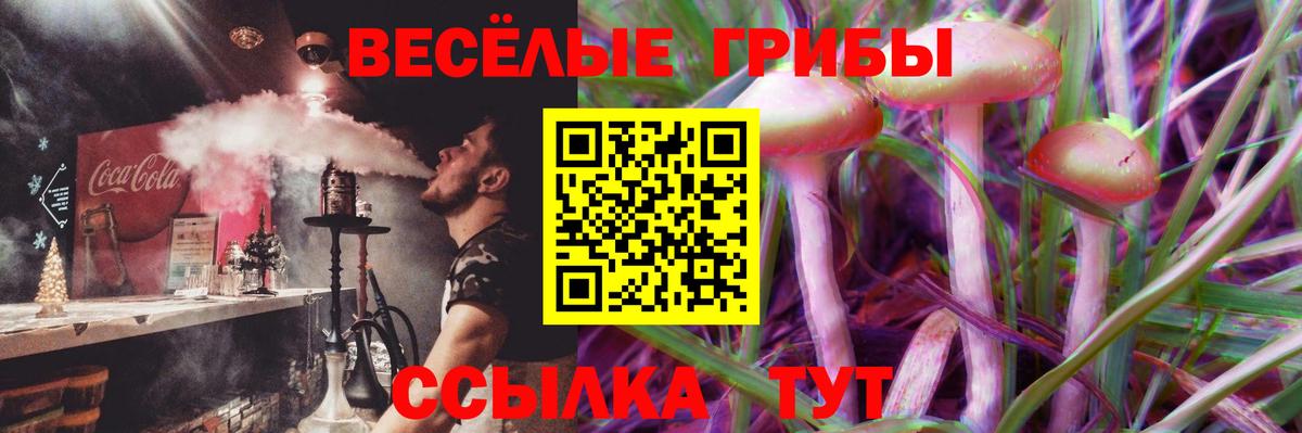 Галлюциногенные грибы GOLDEN TEACHER  Вход с VPN  Тверь 